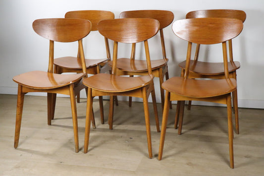 Série de 6 chaises modèle "INGRID" par Stella, 1960